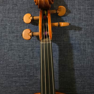 Andreas Eastman Series+ VA405 image 14