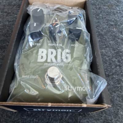 Strymon Brig dBucket Delay 2023 - Present - Green image 6