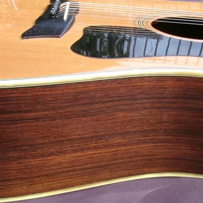 Morris MG-60 1977 Natural - Made in Japan - Solid Spruce Top image 14