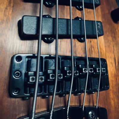 Warwick Thumb BO 5 string made in Germany 2004 image 3