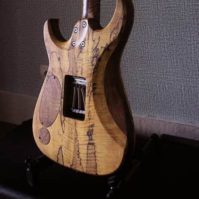 Bakat/Bhakatt Guitar Double Cut 2026 - Satin Polyurethane and oil image 20