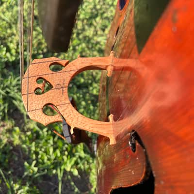 Anton Kessel Professional Antique Cello 1890 Leipzig Germany Guarneri Model image 20