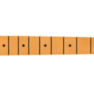 Fender American Pro II Strat Neck, 22 Narrow Tall Frets, 9.5", Roasted Maple image 1