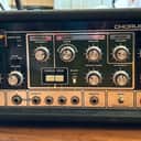 Roland RE-301 Chorus Echo - extra tapes, felts, wheel, bag - Vintage Tape in Great Shape!