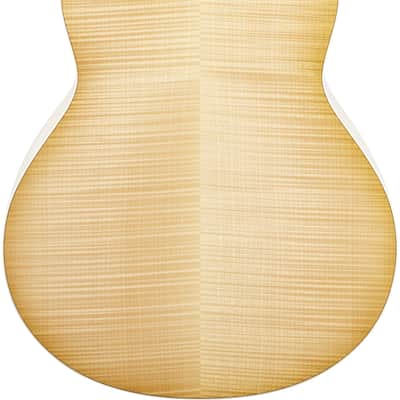 Taylor 618e Grand Orchestra Acoustic-Electric Guitar image 7