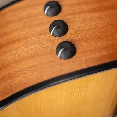 Taylor 110ce Dreadnought Acoustic/Electric Guitar - Solid Torrefield Spruce with Gig Bag - Factory Demo image 14