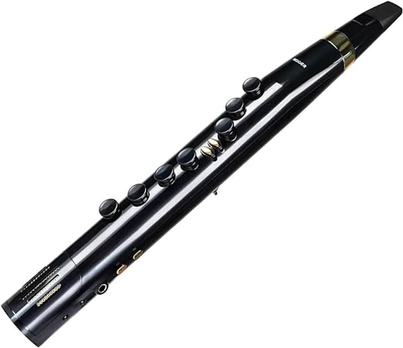 MOOER Wi100 WIND INSTRUMENT 2022 image 1