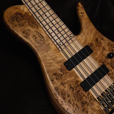 Fodera Imperial 5 Elite Poplar Burl End-2023 (10.5 lbs) image 6