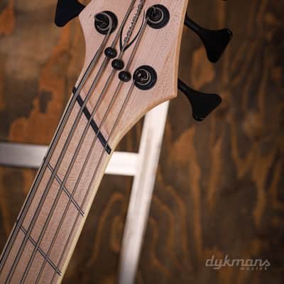 Dingwall Combustion Nashville 5-String Maple Natural Ash image 8