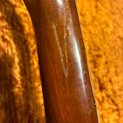 Gibson Explorer 1976- Natural image 15
