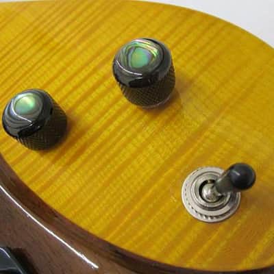 Avian Swift Electric Guitar Lightweight and Versatile | Reverb