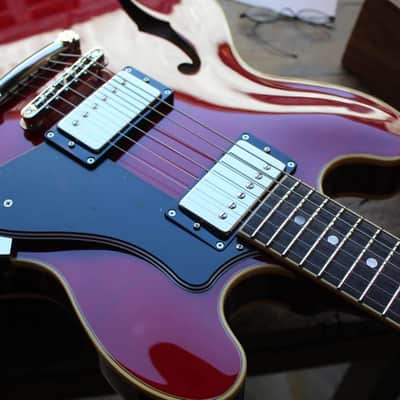 FGN 335 Cherry, MSA-HP/CH HARDCASE, 3, 03 KG image 4