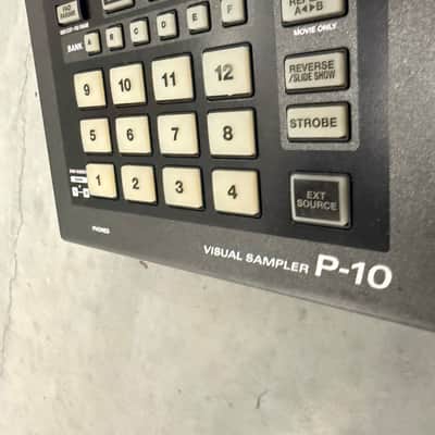 Edirol P-10 image 4