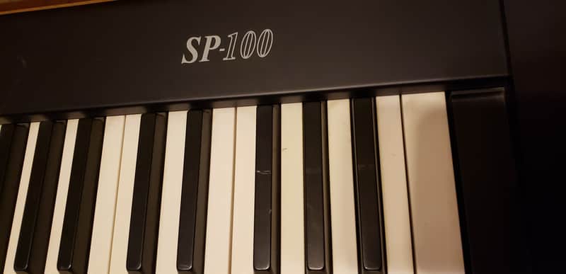 Korg SP-100 Digital Piano-88 Weighted Keys | Reverb