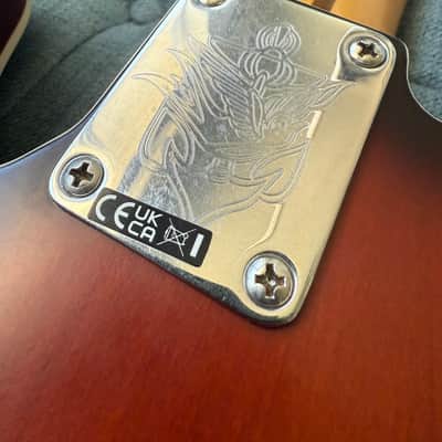 2026 Fender Jason Isbell Telecaster - Hardcase image 6