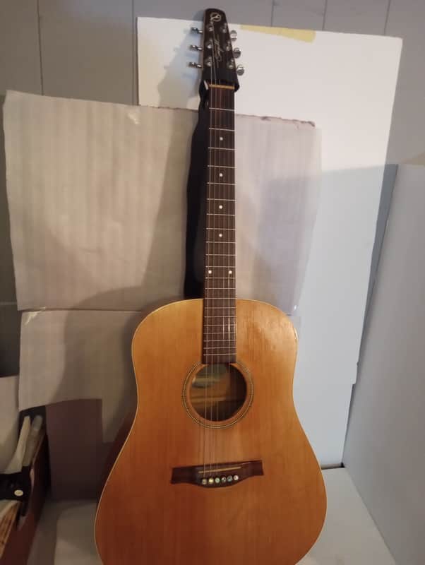 Seagull Entourage Dreadnought 2018 - Autumn Burst image 1