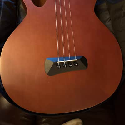 Spector Timbre 2010s - Walnut image 1