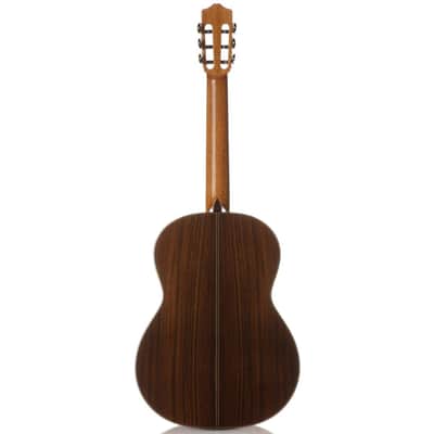 Cordoba C10 CD/IN Nylon-String Classical Acoustic Guitar (Cedar Top, Gloss Poly Finish) image 4