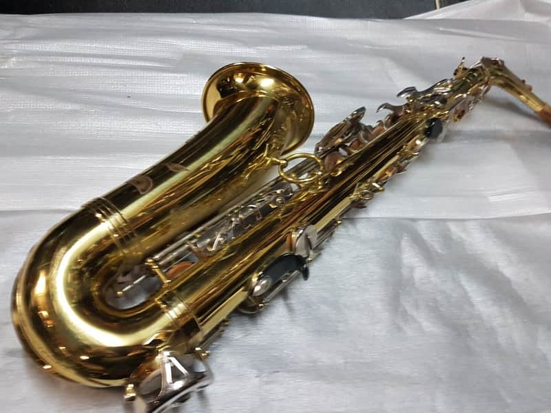 Sturn Alt / Alto Sax / Saxophone image 1