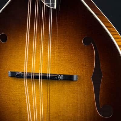 Collings MT2 Mandola Sunburst Adirondack Spruce and Flamed Maple NEW image 9