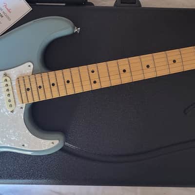 Fender American Professional Stratocaster with Maple Fretboard 2017 Sonic Grey image 18