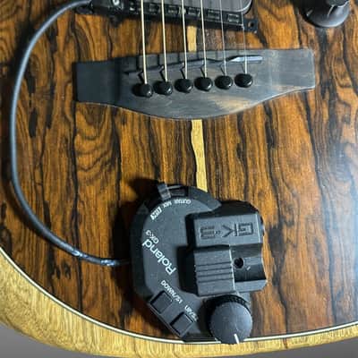 Roland GR-55 Guitar Synthesizer + Roland MiDI GK3 Pickup image 1