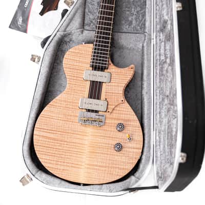 2016 Ambler Hound Dog P90 in Natural image 6