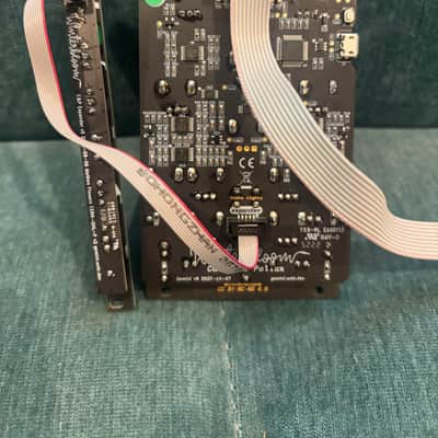 Winterbloom Castor and Pollux MKII 2020s - Black imagen 2