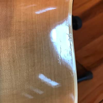 Epiphone FT-570 BL 1970’s Natural image 15