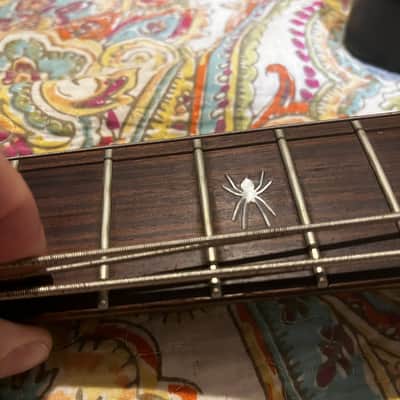 Hardluck Kings Spider Electric Bass Guitar Thunderbird Explorer Style image 14