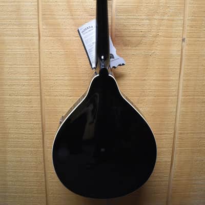 Indiana Mandolin 2000's - Sunburst image 8