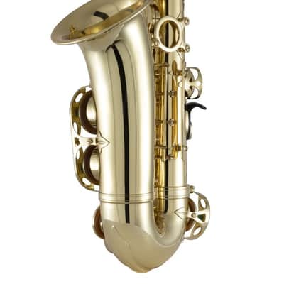 Prelude by Selmer PAS111 Student Alto Saxophone Outfit (FIREWORKS26) image 4