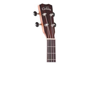 Cordoba 25TCE Cutaway Electric Tenor Ukulele image 4