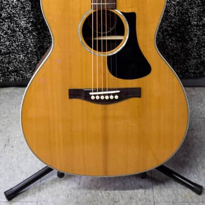 Eastman PCH2-GACE - Natural image 1