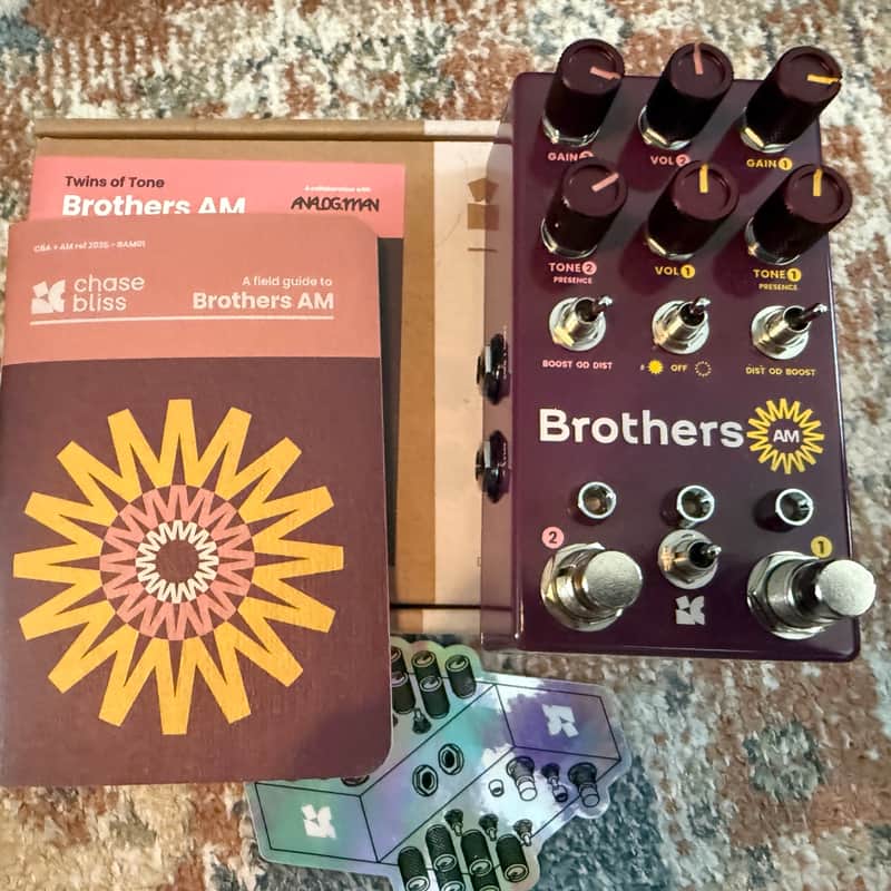 Chase Bliss Audio Brothers AM image 1
