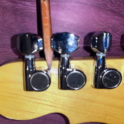 G&L Doheney 2024 - Gloss image 6