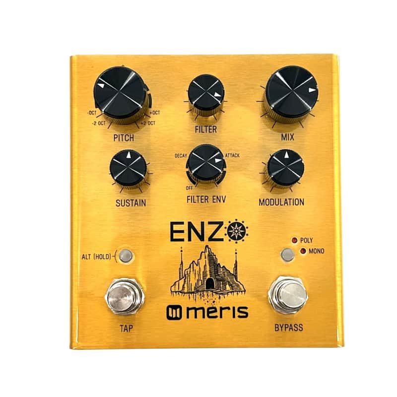 Meris Enzo Synthesizer Pedal "Free Shipping in the USA" image 1