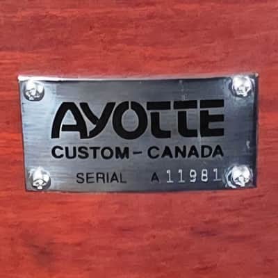 Ayotte Custom Wood Hoops 1990's Ray Ayotte Era - African Walnut Satin image 8