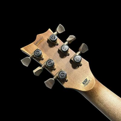 ESP Will Adler Warbird | Distressed Black with Graphic image 6