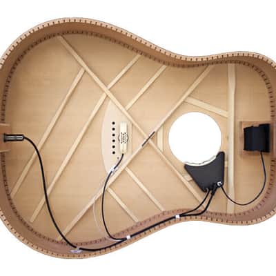 LR Baggs Anthem Acoustic Guitar Pickup image 2