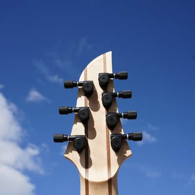 Schecter USA Custom Shop Keith Merrow KM-7 Stage w/ Fishmans - Snowblind White Gloss 7-String image 5