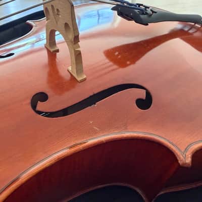 Emmanuel Berberian Collezione Verona III 3/4 Cello Outfit image 7