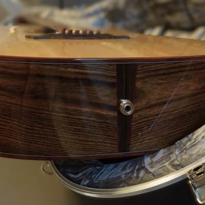 Peterson D-100 MY (2021) USA Handbuilt Boutique Acoustic Dreadnought - Fishman Matrix Infinity, OHSC image 6