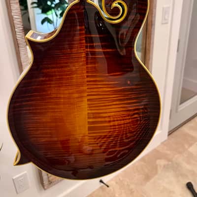 Aleyas F5D 2013-2020 - Sunburst Varnish Finish image 6