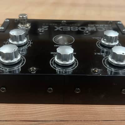 Early Gurus Echosex 2 Echorec Replica image 4