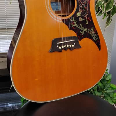 Epiphone Masterbilt Excellente FT120 Series Acoiustic Guitar w/ Built-in Electronics 2020 - Present - Antique Natural Bild 3