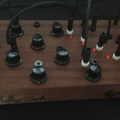 Ouroboros Alea - West Coast Buchla-like / Discontinued -Signed Serial #1 image 5