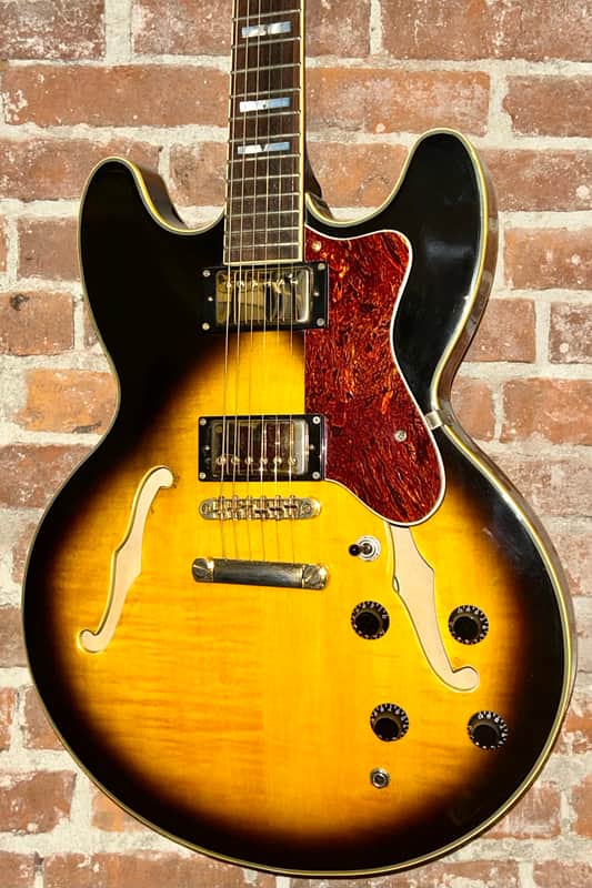 Jay Turser  JT134DC 335 Style Semi-Hollowbody Electric Guitar - Sunburst, Ships Fast with A Pro Set Up! image 1