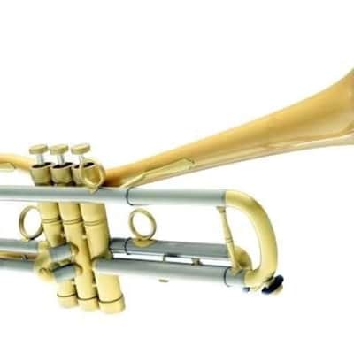 Carol Brass CTR-5280L-GLT(Euro-D)-Bb-SL Baro Model Trumpet image 1