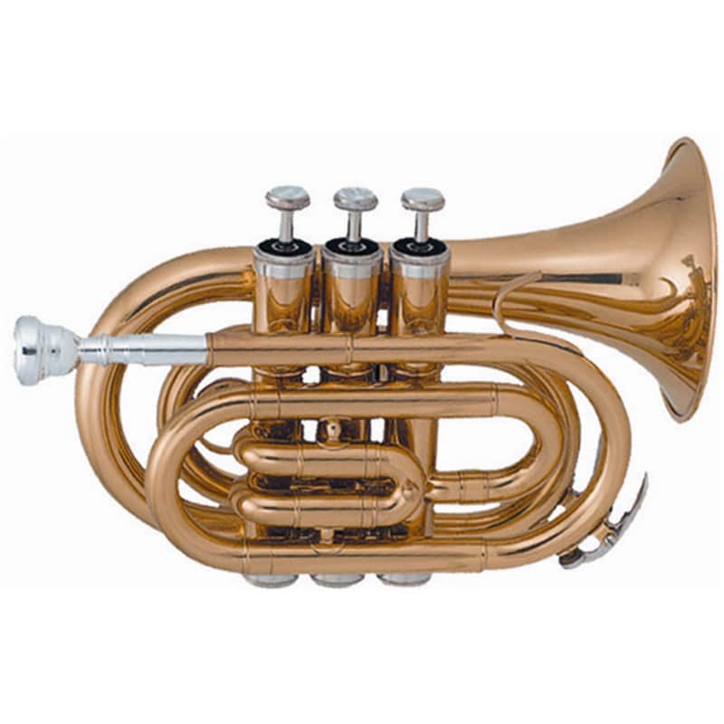 SML Paris VSM TP50 Tromba Pocket Laccata image 1